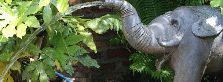 Agnes, the jungle garden elephant