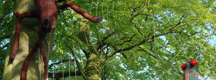 The woodland walk