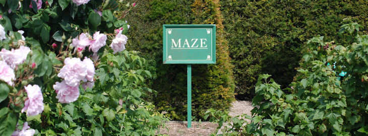 The maze