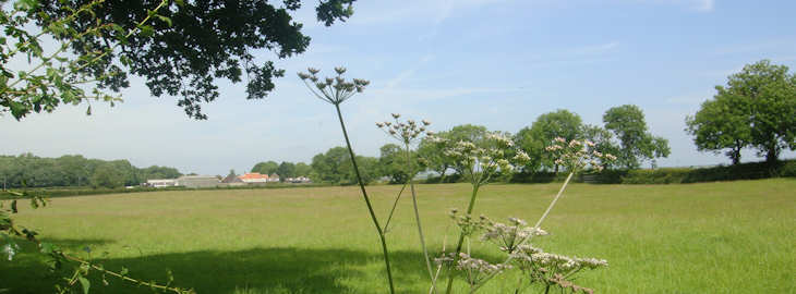 Parkland at Burton Agnes