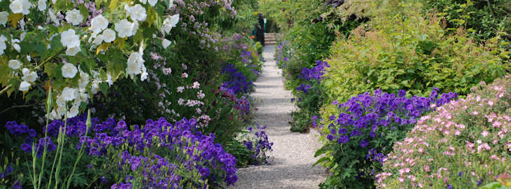 A path through the gardens