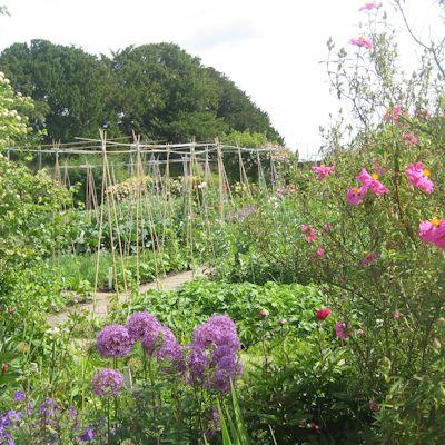 The potager